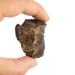 STROMATOLITE RAW PIECE NATURAL CRYSTAL