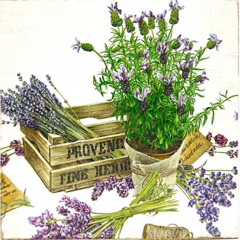 zelišča slika decoupage kuhinjska