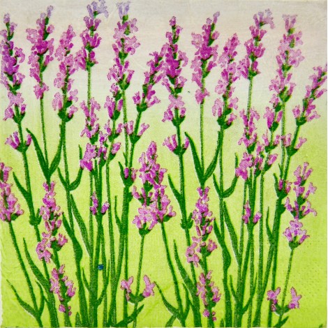 sivka slika decoupage kuhinjska