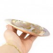 mother of pearl, decorative shellfish
