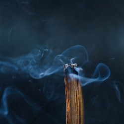 palo santo sveti les cena  zaščita pred virusi razkuževanje prostora