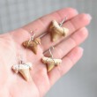 shark tooth necklace pendant, unique jewerly, gift idea