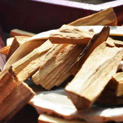 palo santo energijsko čiščenje kristalov virusi komarji repelent