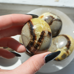 septarian kristal