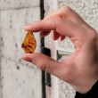 amber, amber pocket size, amber crystal, energy crystal