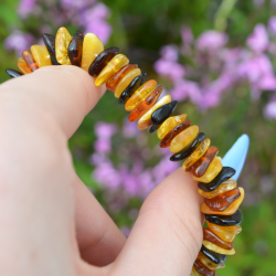 jantar čips zapestnica, trgovina s kristali