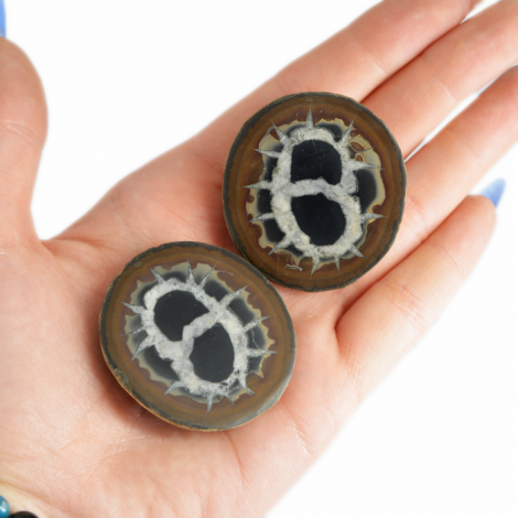 SEPTARIAN geode