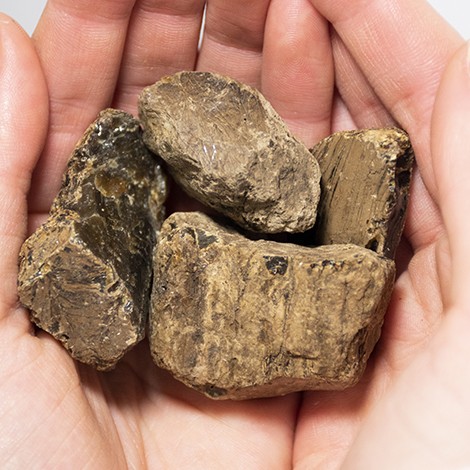 jantar surovi naravni pravi jantar smola