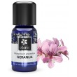 geranium, essential oil, essential oil geranium, aromatherapy