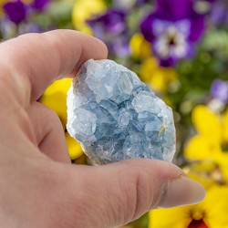 celestine, celestine crystal, celestine geode, celestine cluster, celestine raw piece