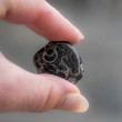 jasper, turtle jasper, crystal of power, crystal of strength, turtle jasper pocket crystal