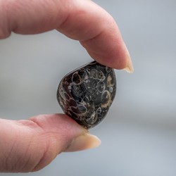 jasper, turtle jasper, crystal of power, crystal of strength, turtle jasper pocket crystal