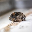 jasper, turtle jasper, crystal of power, crystal of strength, turtle jasper pocket crystal