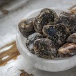 jasper, turtle jasper, crystal of power, crystal of strength, turtle jasper pocket crystal