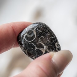 jasper, turtle jasper, crystal of power, crystal of strength, turtle jasper pocket crystal