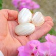 white agate, agate, white agate crystal, pocket crystal, grounding crystal, crystals for meditation