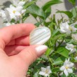 white agate, agate, white agate crystal, pocket crystal, grounding crystal, crystals for meditation