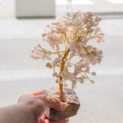 feng shui drevo, ugodna cena, dekoracija za dom, trgovina s kristali, roževec kristali drevo s kristali