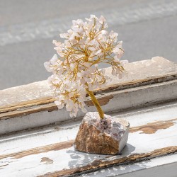 feng shui drevo, ugodna cena, dekoracija za dom, trgovina s kristali, roževec kristali drevo s kristali