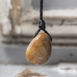 petrified wood, petrified wood crystal, crystal necklace, meditation crystal, energy jewellery