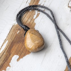 petrified wood, petrified wood crystal, crystal necklace, meditation crystal, energy jewellery