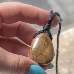 petrified wood, petrified wood crystal, crystal necklace, meditation crystal, energy jewellery