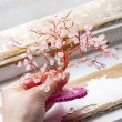 feng shui drevo, ugodna cena, dekoracija za dom, trgovina s kristali, roževec kristali drevo s kristali