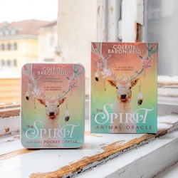 Oracle cards, The animal spirit, animal spirit oracle cards, card reading