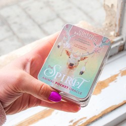 Oracle cards, The animal spirit, animal spirit oracle cards, card reading