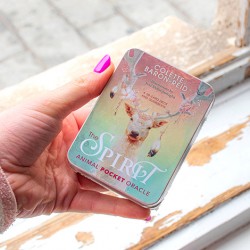 Oracle cards, The animal spirit, animal spirit oracle cards, card reading
