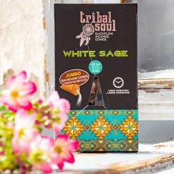 white sage, white sage cones, cleansing