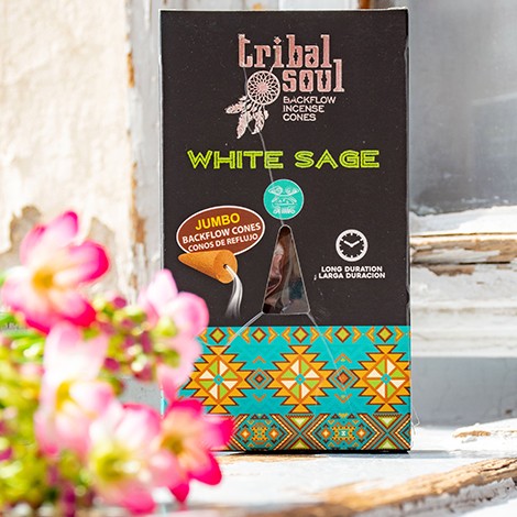 white sage, white sage cones, cleansing
