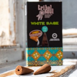 white sage, white sage cones, cleansing