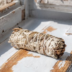 white sage,white sage mint