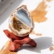 agate, agate crystal, agate geode, geode pair, grounding crystal
