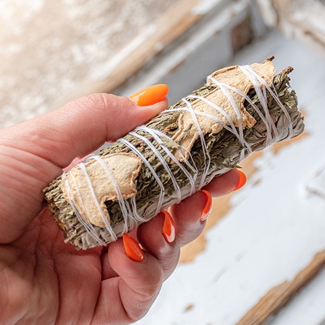 beli žajbelj z ingverjem in cedro