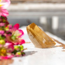 CITRIN naravni samostoječ kristal za poslovni uspeh
