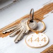 ANGELSKO ŠTEVILO 444 obesek za ključe