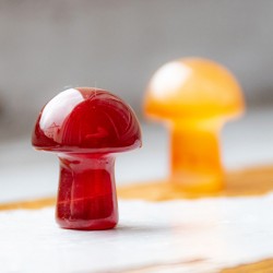 CARNELIAN moshroom mini