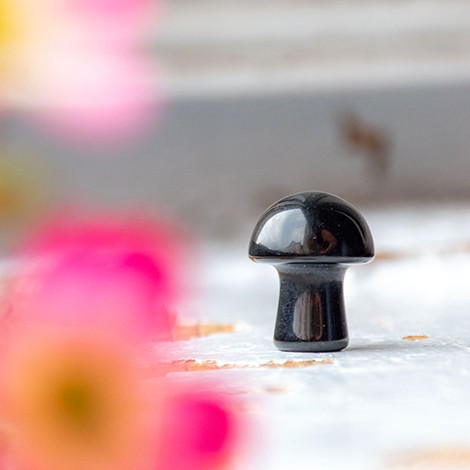 OBSIDIAN mushroom mini