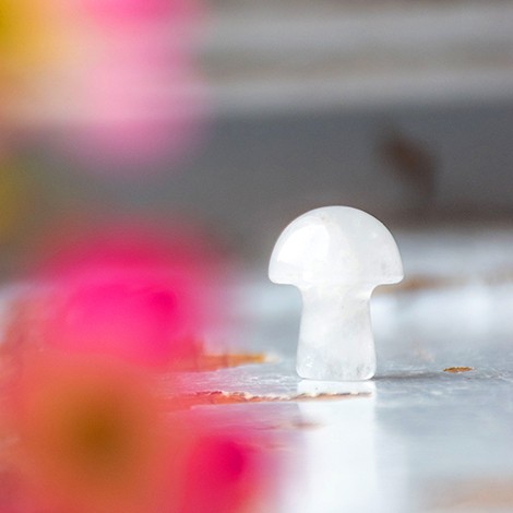 Kamena strela  goba mini kristal za čiščenje