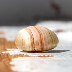 ARAGONITE pocket crystal
