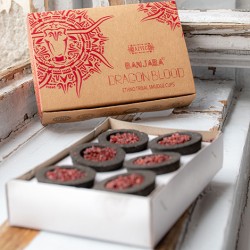 duhovno kadilo Dragon Blood
zaščitno kadilo Dragon Blood
kadilo za obrede kadilo za sprostitev