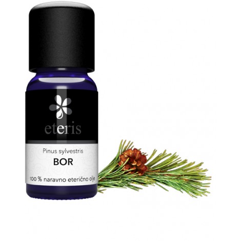 pine essential oil